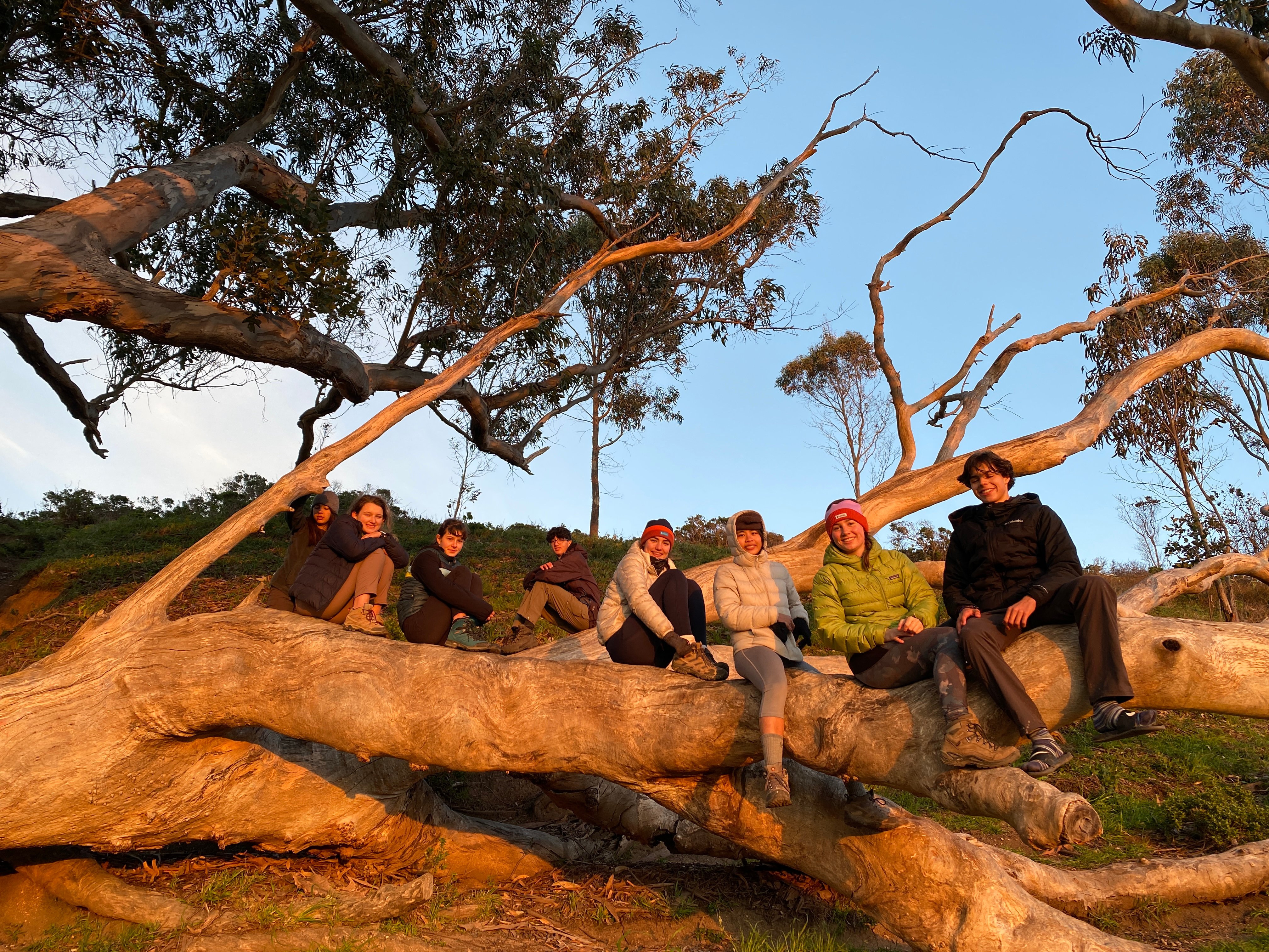 Students taking a group shot sitting on a downed tree during the sunset.