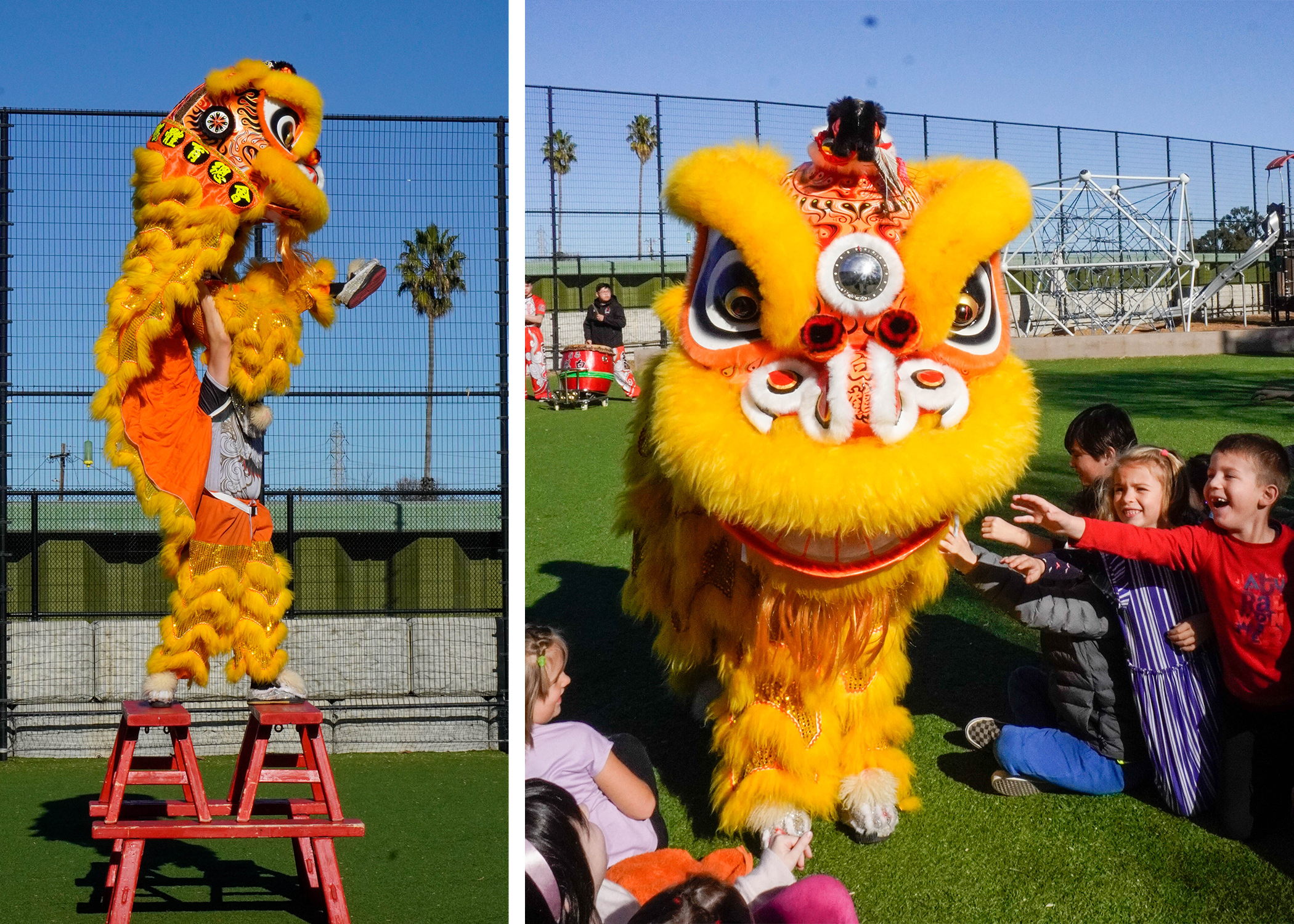 The Lion Dancers performing for the students on campus.