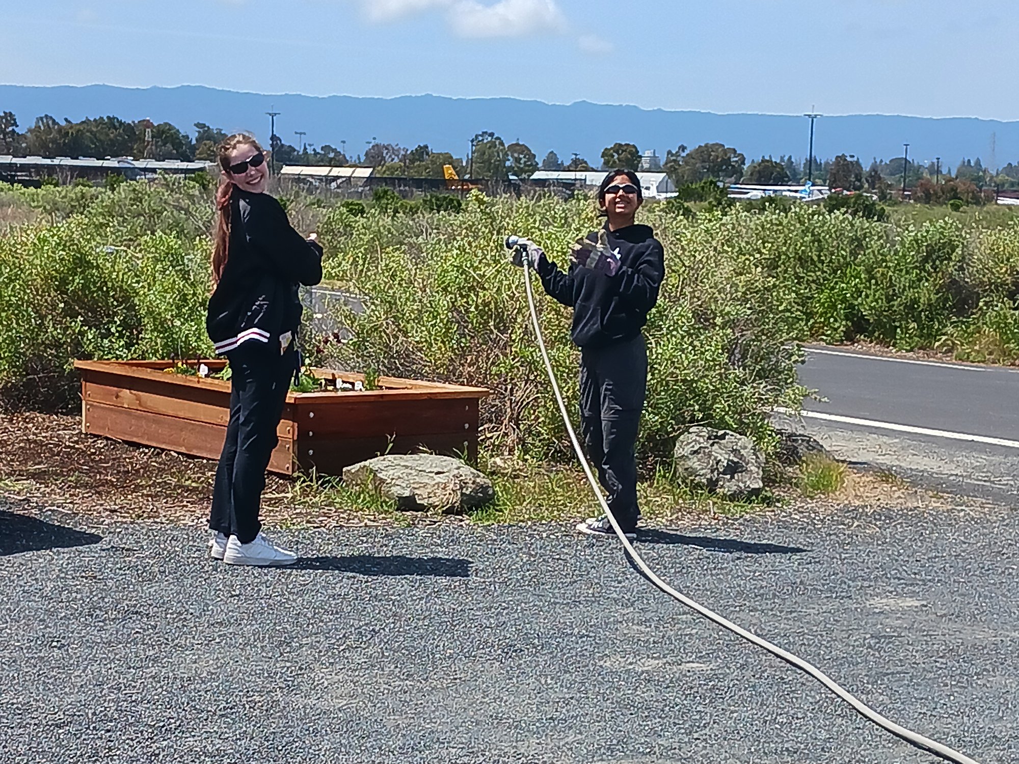 11th Graders watering plants at the Baylands.