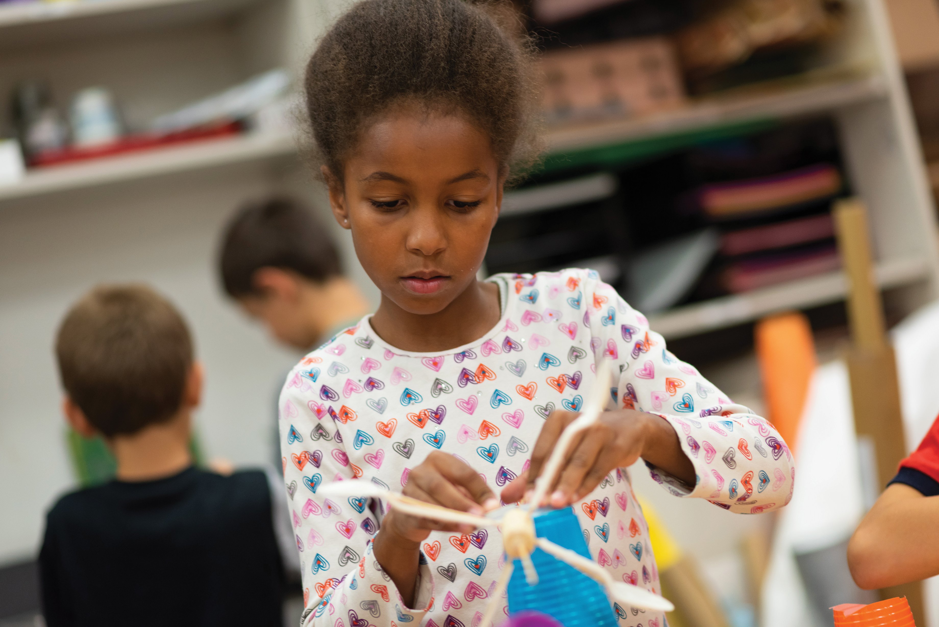 The Inquiry Learning Cycle