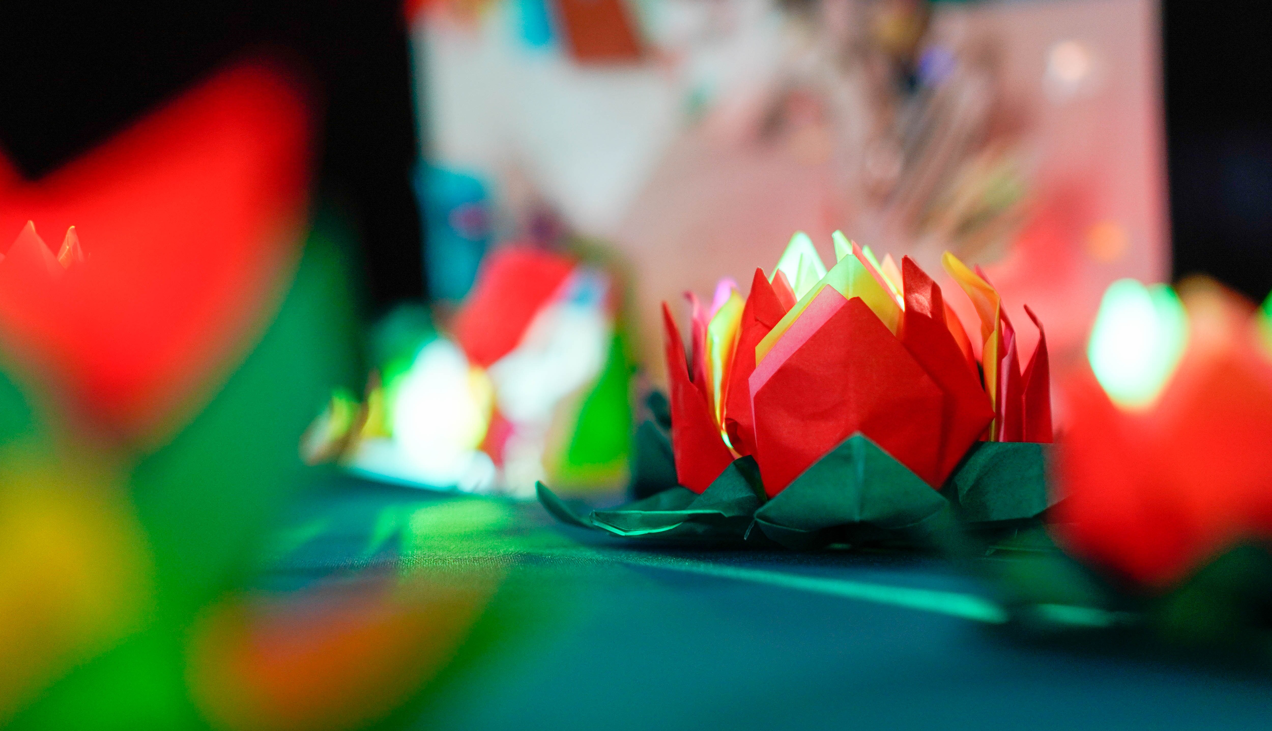 The origami pond with a lily pad.