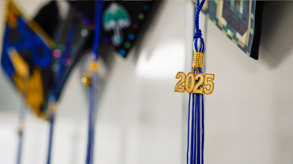 INTL Class of 2025 Outstanding IB Diploma Results