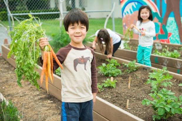 Intentional Project and Theme Based Curriculum in Early Years Program