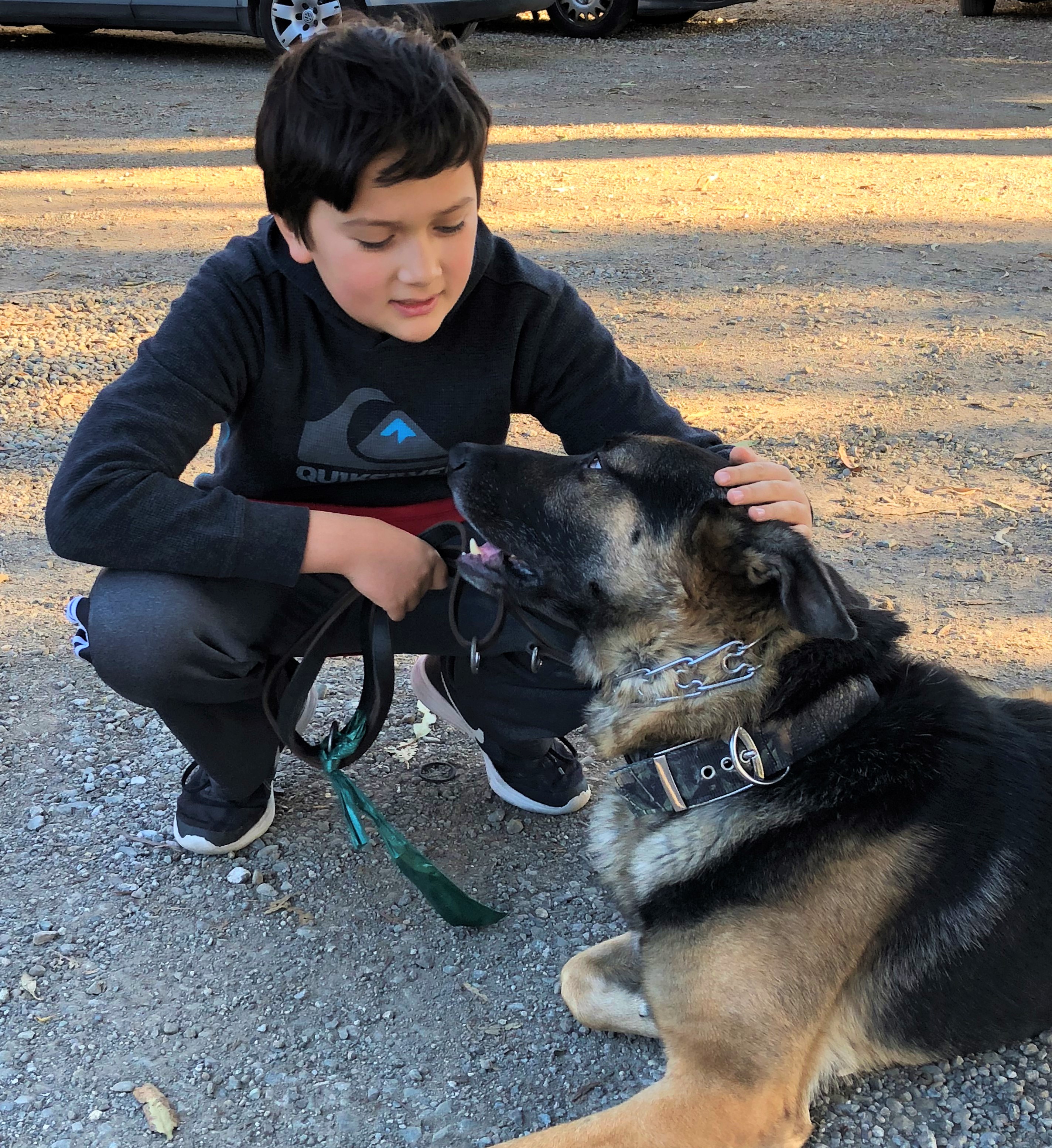 Service Learning Reflection – Volunteering for the American Canine Institute – by Kasper H.